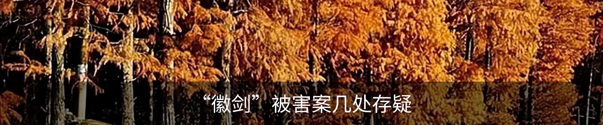 内页banner