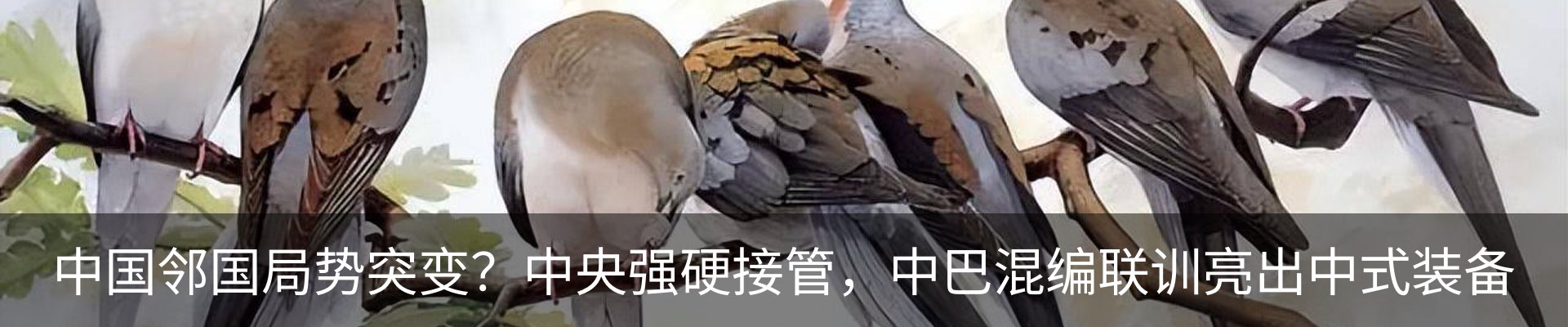 内页banner