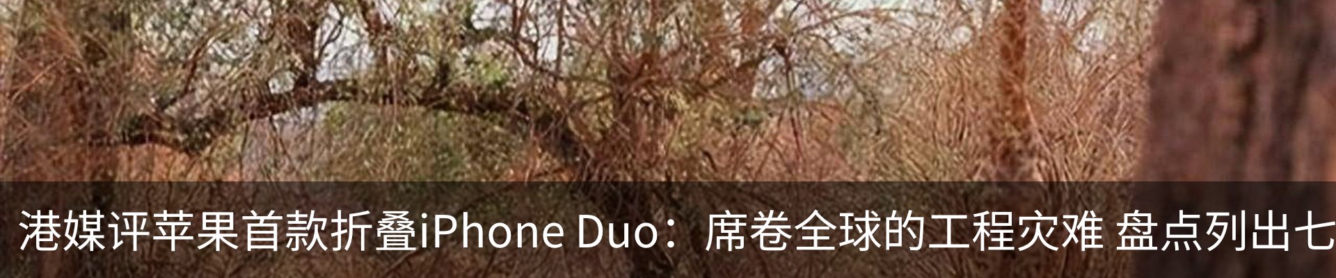 内页banner